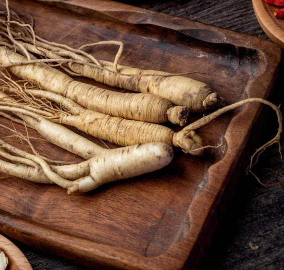 Panax Ginseng Root Extract